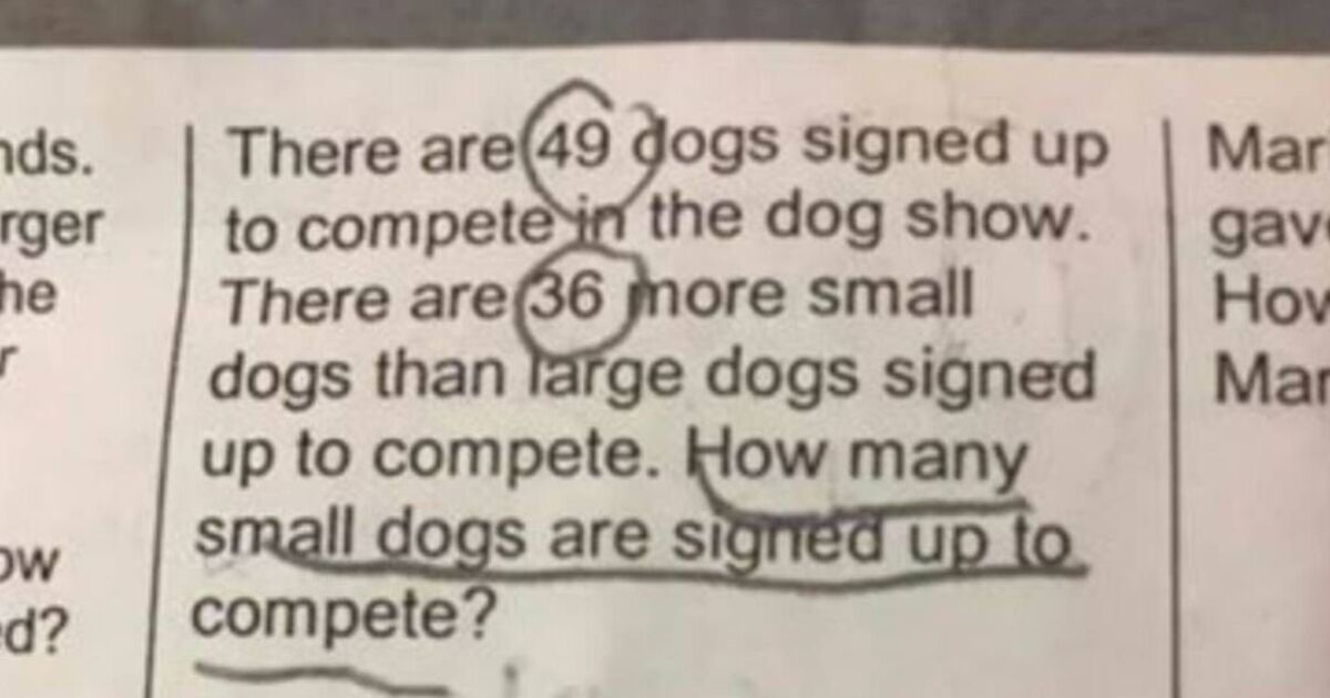 Seven year old’s ‘easy’ maths homework question baffles adults