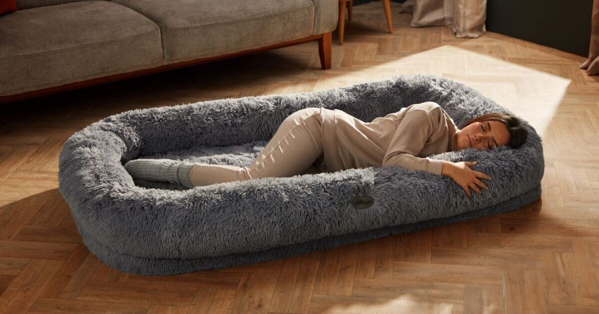 Shoppers are obsessed with Silentnight’s new ‘cosy’ human pet bed