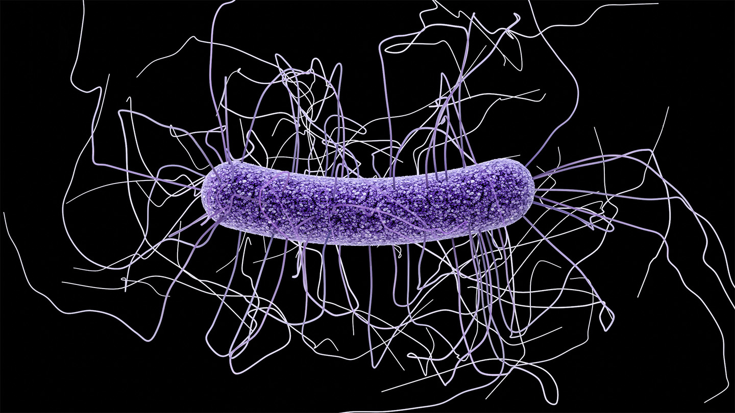 An mRNA vaccine protected mice against deadly intestinal C. difficile bacteria