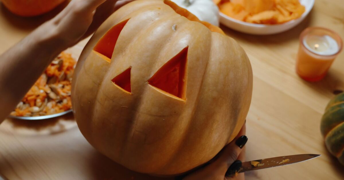 Households urged to use three household items on pumpkins before it’s too late