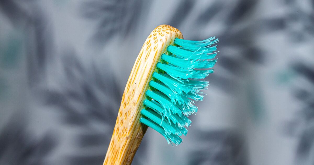 Toothbrushes and showerheads ‘covered in viruses’ new study unveils