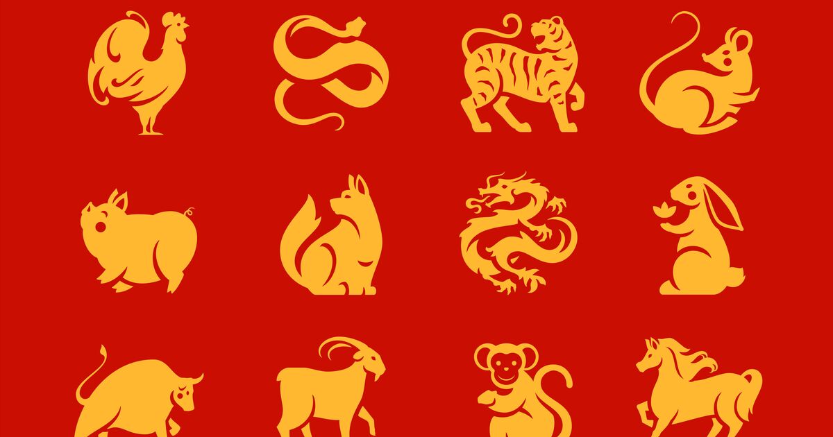 Chinese horoscope: 5 animal signs that will be unlucky in November 2024