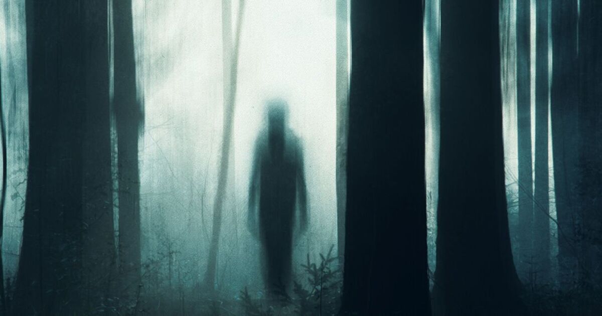 The top ghost stories ranked for Halloween – in every genre from short story to novel | Books | Entertainment