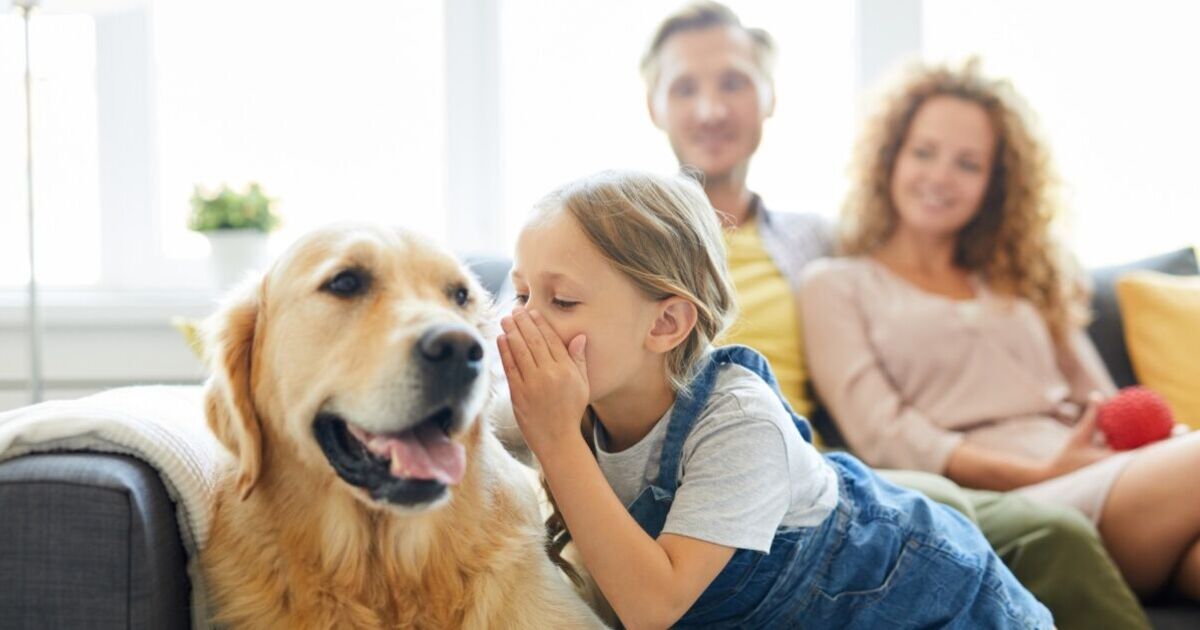 A third of Brits would rather talk to their pets than people, study finds