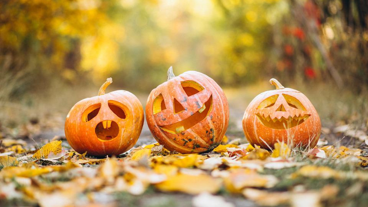 The spooky impact of climate change on Halloween