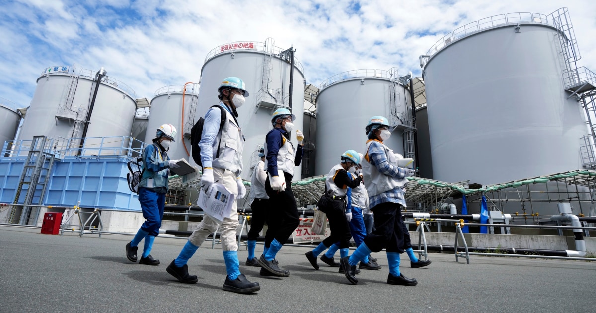 Tiny grain of nuclear fuel pulled from ruined Japanese nuclear plant in a step toward cleanup