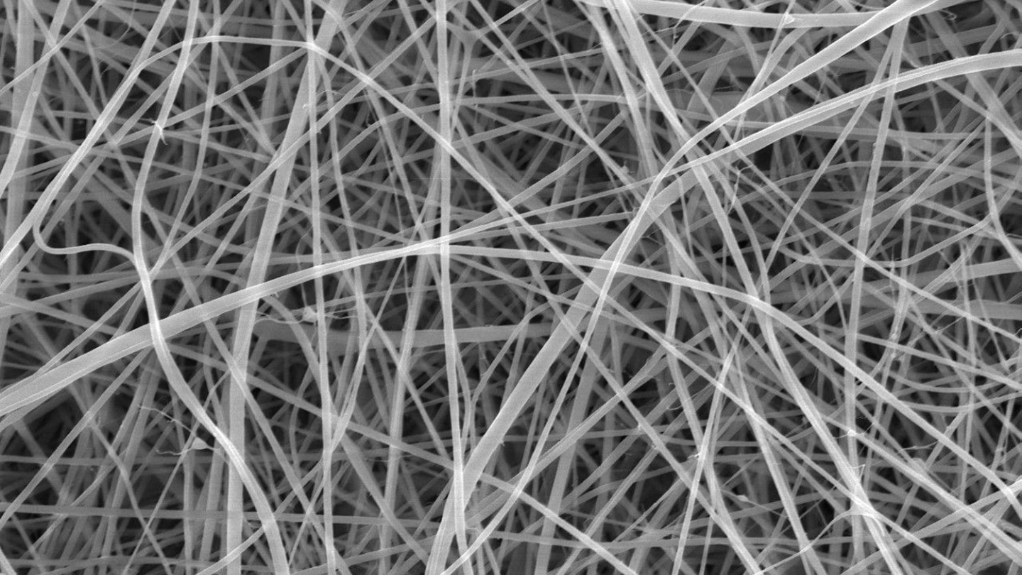 Starchy nanofibers shatter the record for world’s thinnest pasta