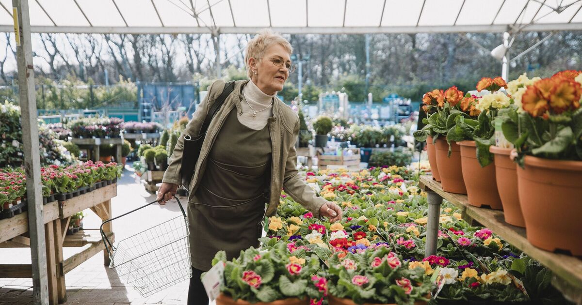 One houseplant is a ‘good luck charm’ to have in your home