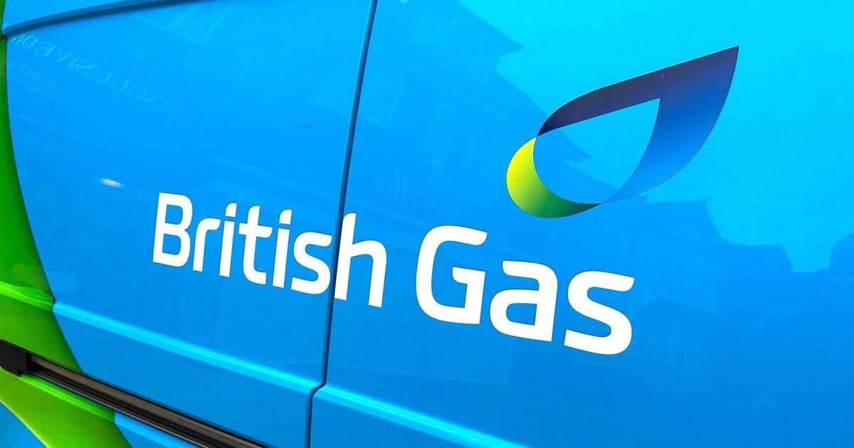 British Gas, EON, EDF and Octopus customers face £1,782 warning from January | Personal Finance | Finance