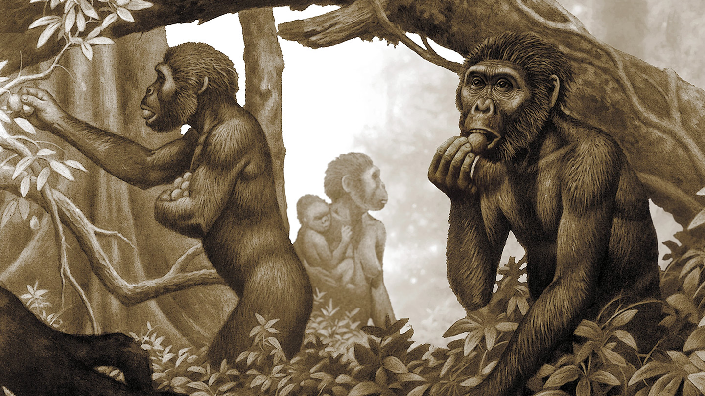 Early human ancestors didn’t regularly eat meat