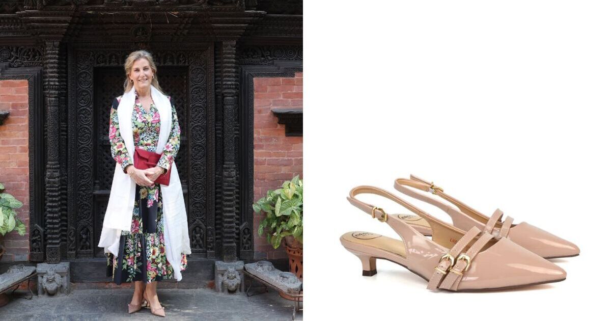 Duchess Sophie’s favourite Jimmy Choo heels are £675 – buy similar for £23.99 at Debenhams | Royal | News