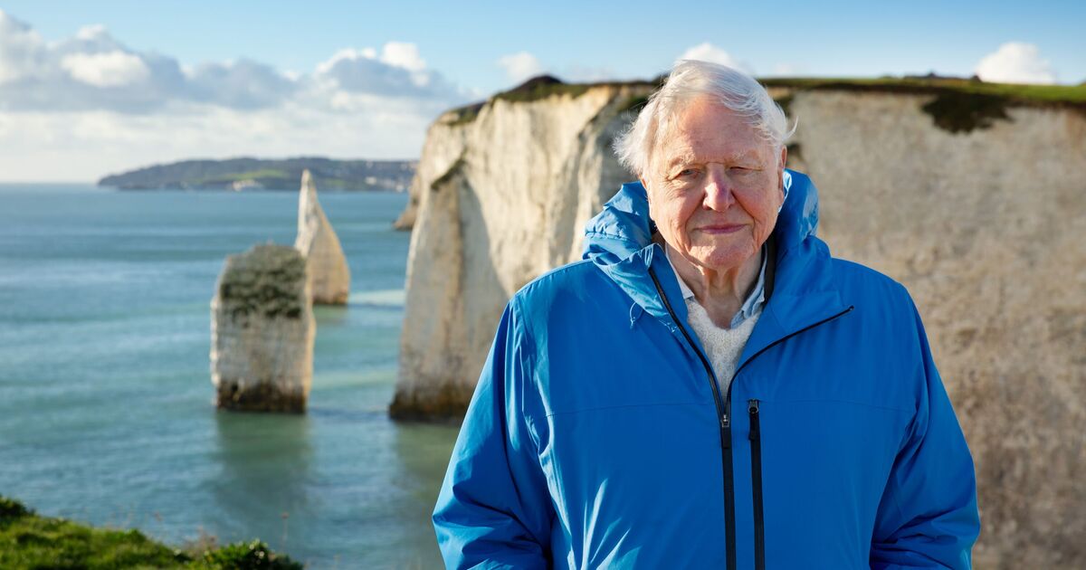 Sir David Attenborough is gifting 1,000 copies of new book to schools | UK | News
