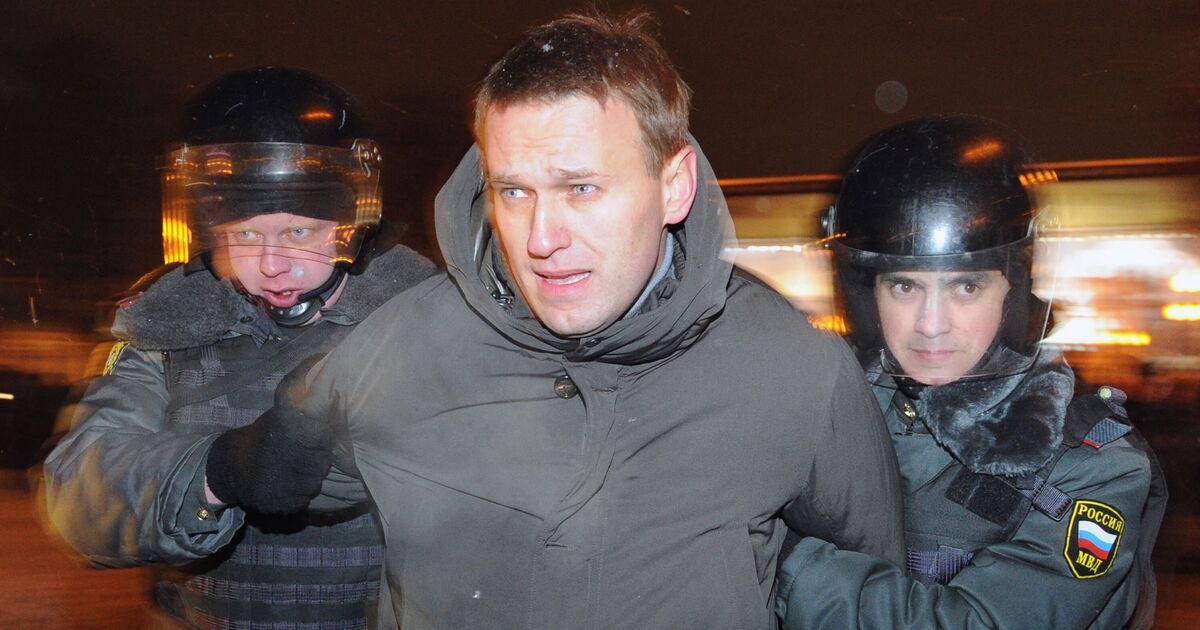 Posthumous Navalny memoir wins Book of the Year award at ‘Nibbies’ | UK | News