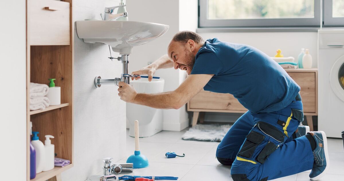 Plumbers say this ‘brilliant’ £20 tool will save you a fortune on call outs