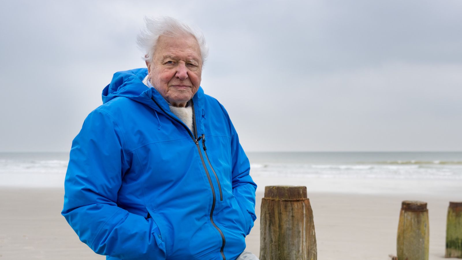 David Attenborough’s Ocean film is ‘biggest message he’s ever told’ | Ents & Arts News