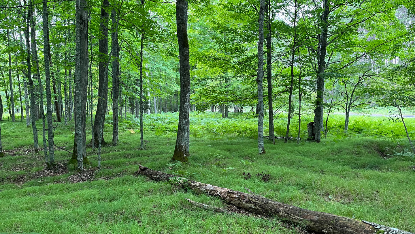 Precolonial farmers thrived in one of North America’s coldest places