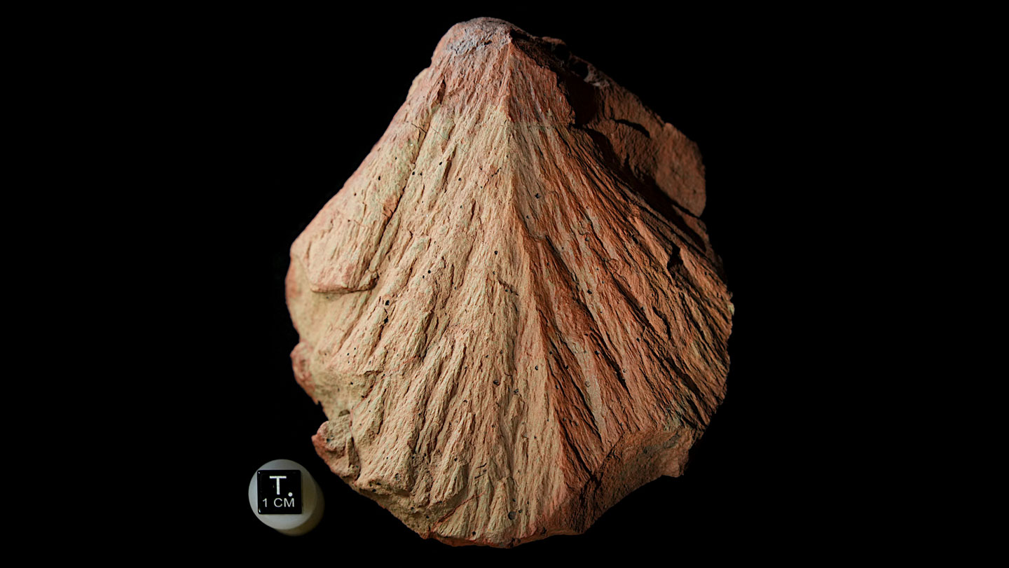An ancient Earth impact could help in the search for Martian life