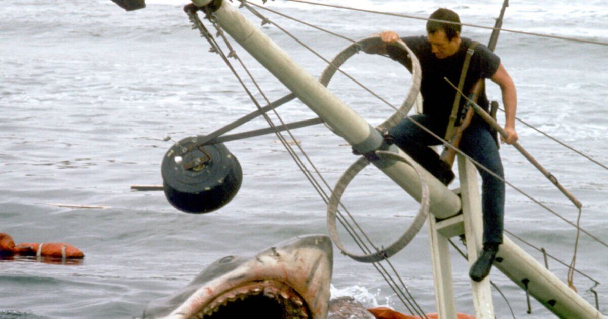 Steven Spielberg says actor told him he’d never work again before Jaws | Celebrity News | Showbiz & TV